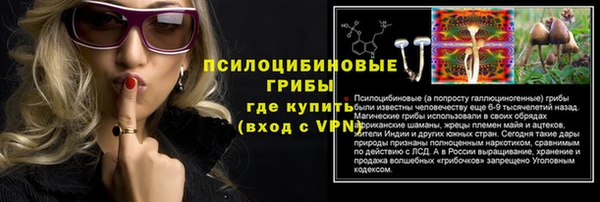 прущие крисы Армянск