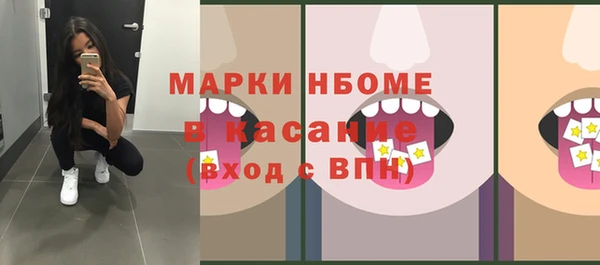 шишки Арсеньев